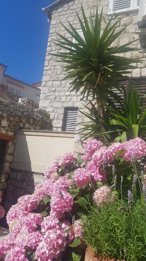 Apartment Lavanda Garden ラブ エクステリア 写真